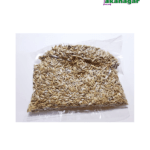 Mouri (মিষ্টি জিরা)