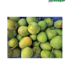 Mango-harivanga-1