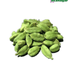Green Cardamom (সবুজ এলাচ)