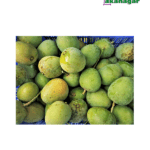 Harivanga Mango